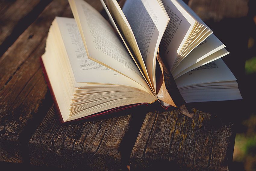 Del cuento a la novela